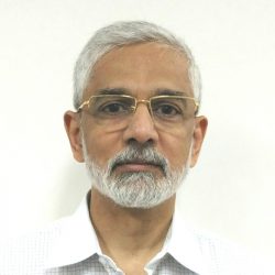 AVM Palsule AVM Palsule