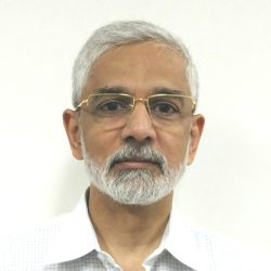 AVM Palsule